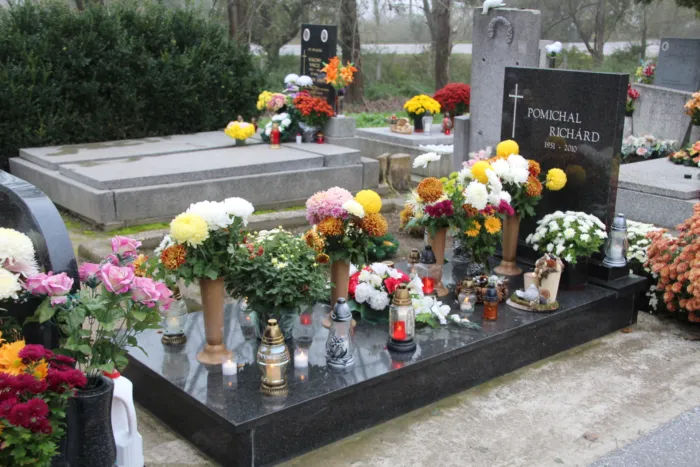 Master file0000066664