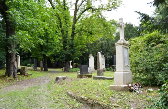 Master file0000061119