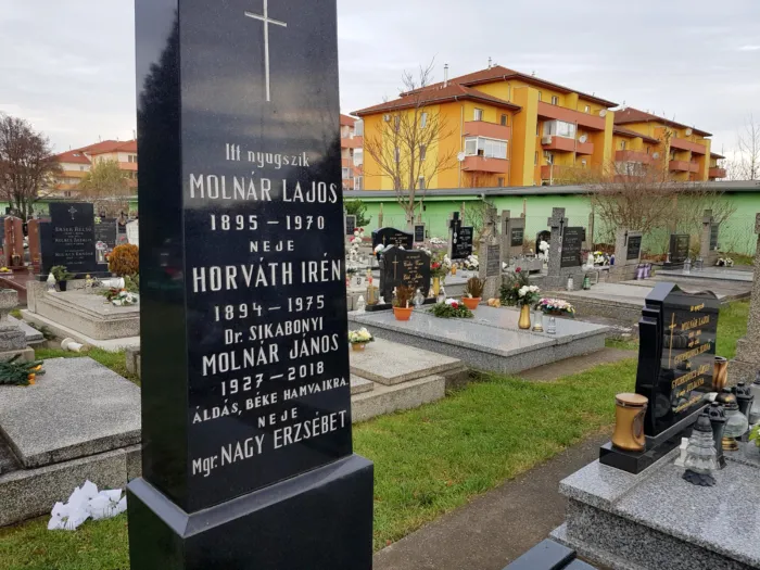 Master file0000079818