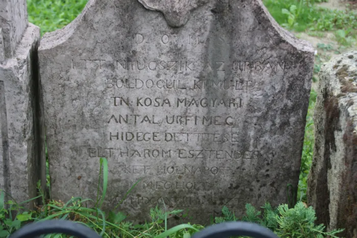 Master file0000069874