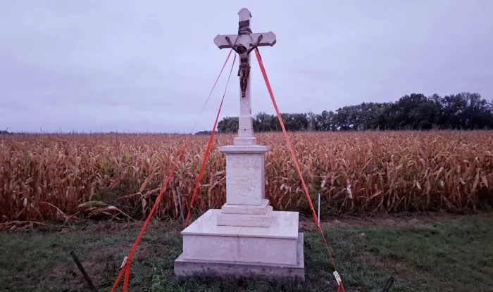 Master file0000081762