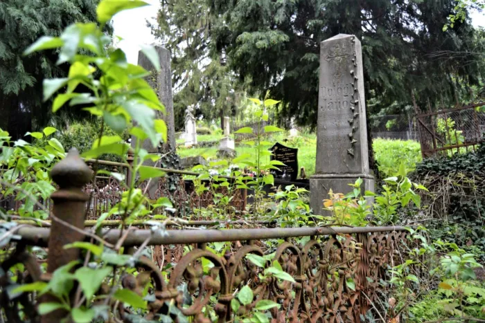 Master file0000069981