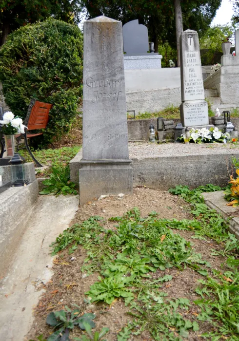 Master file0000071662