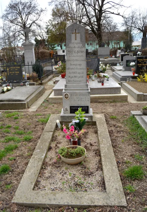 Master file0000061751