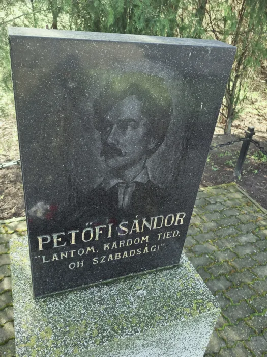 Master file0000081814