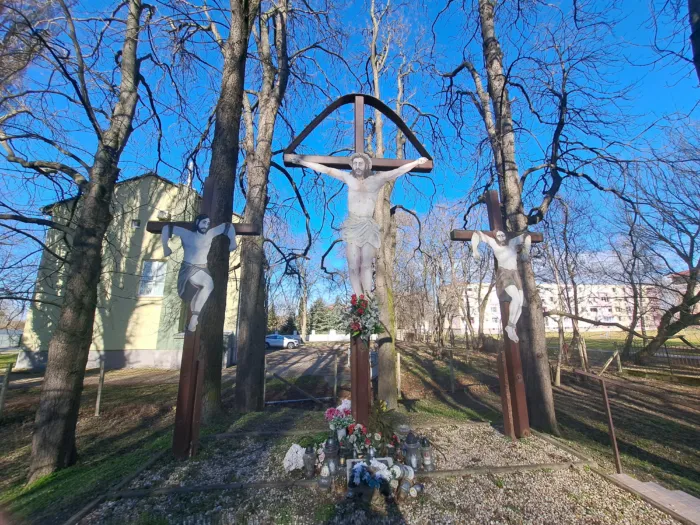 Master file0000081570