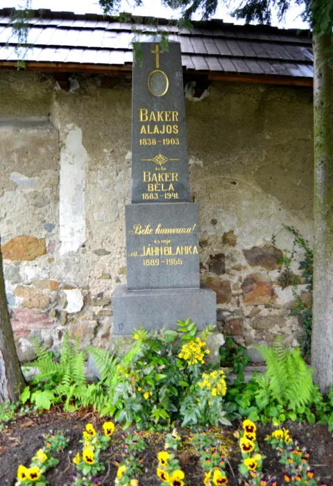 Master file0000068725