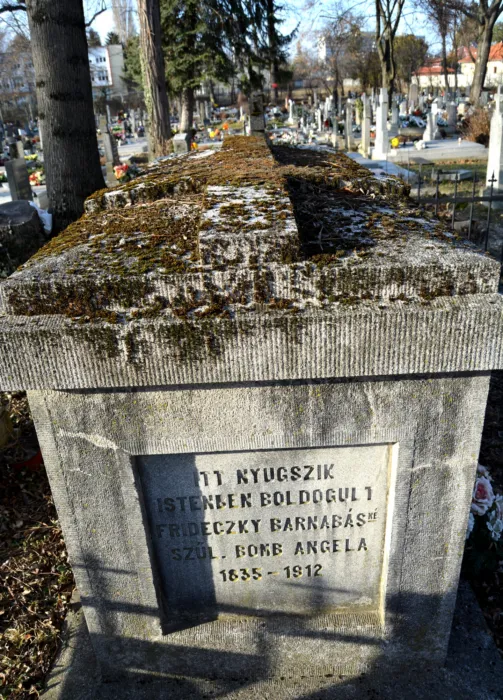 Master file0000074430