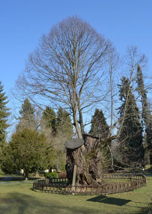 Master file0000075433