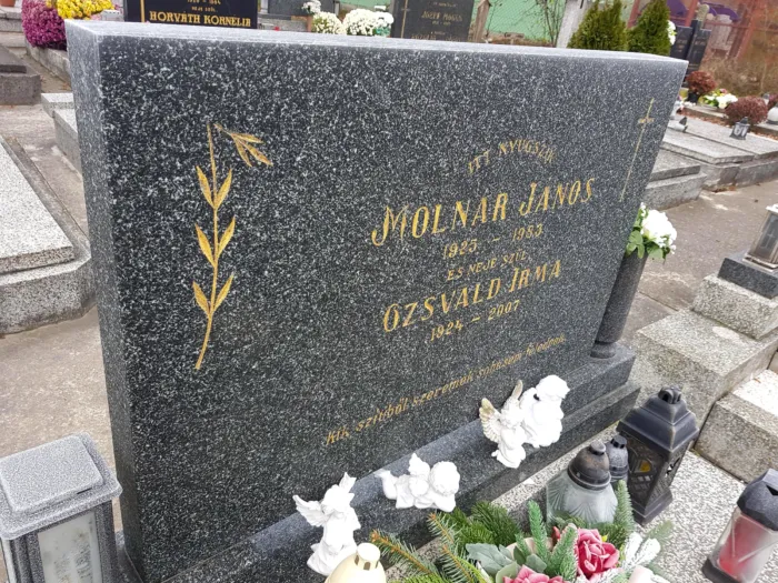 Master file0000068114