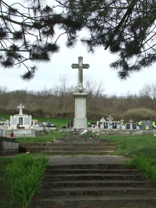 Master file0000067762