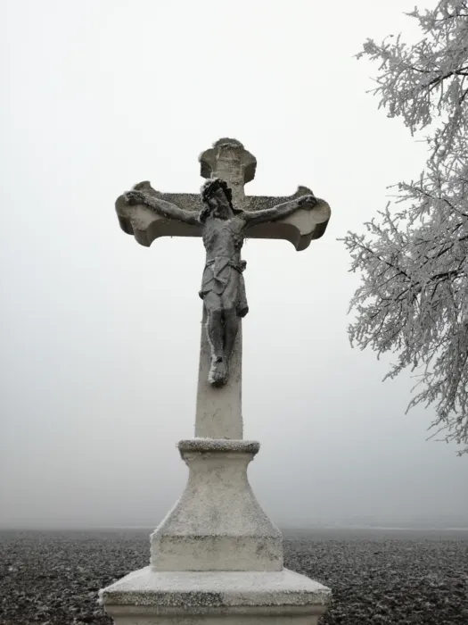 Master file0000073975