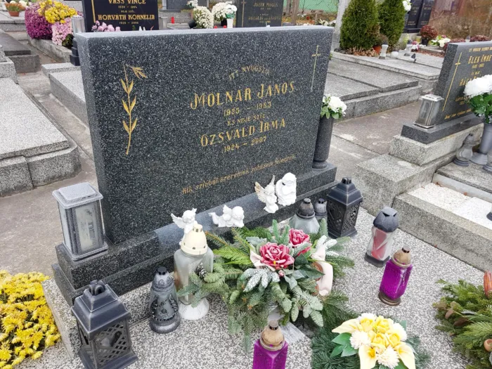 Master file0000066323