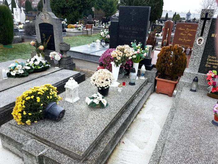 Master file0000070090