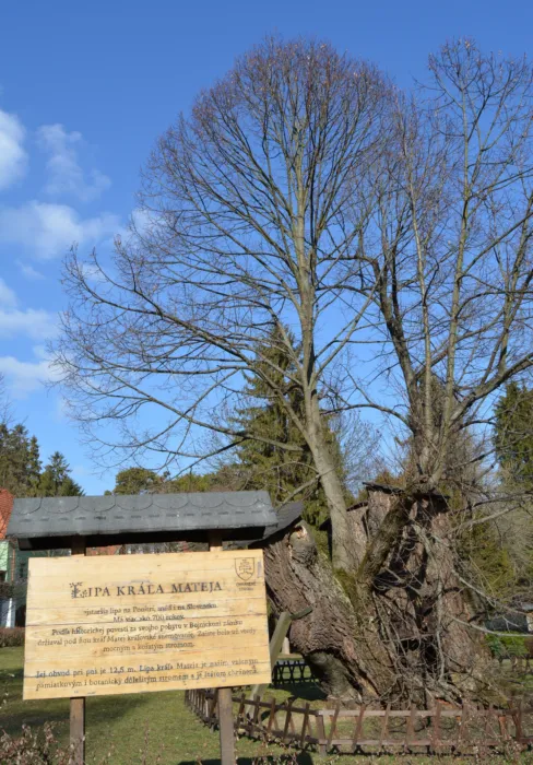 Master file0000076839