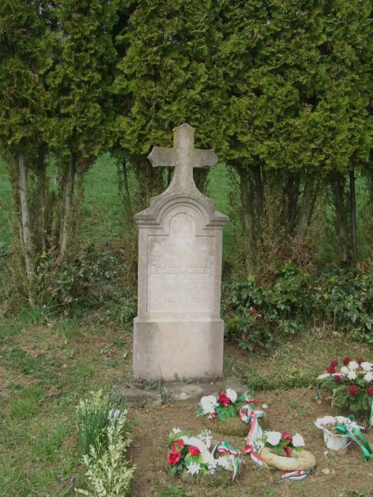 Master file0000065562