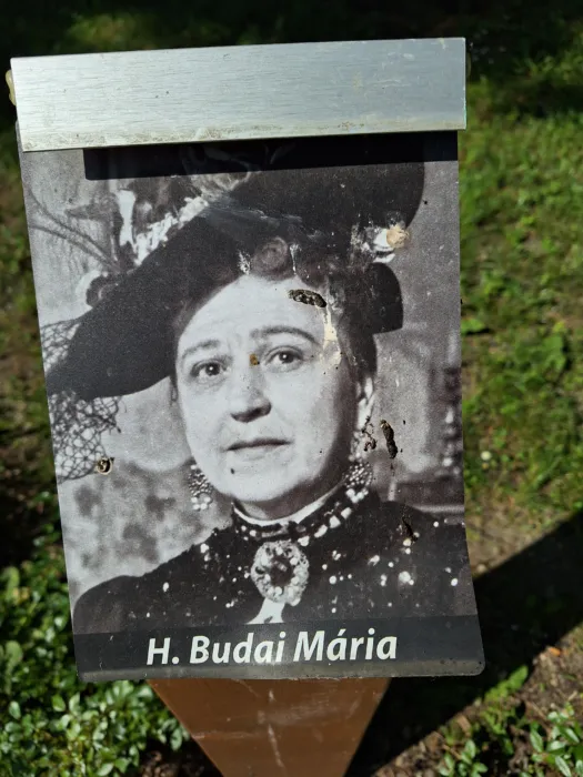 Master file0000080641