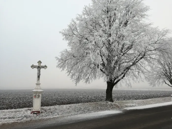 Master file0000078774