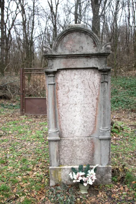 Master file0000076387