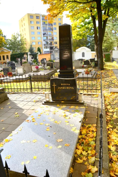 Master file0000075283