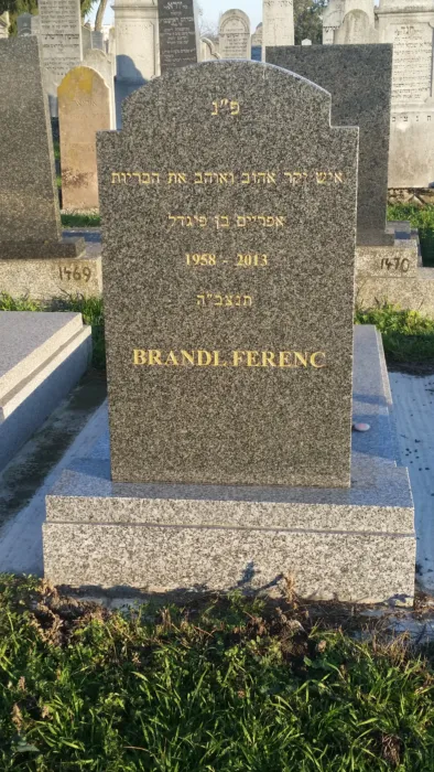 Master file0000073817