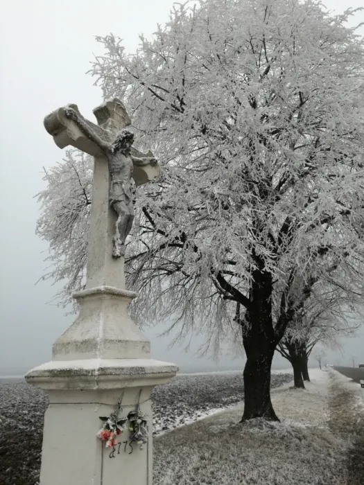 Master file0000071897