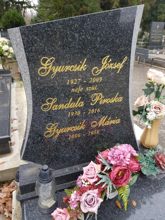 Master file0000076013