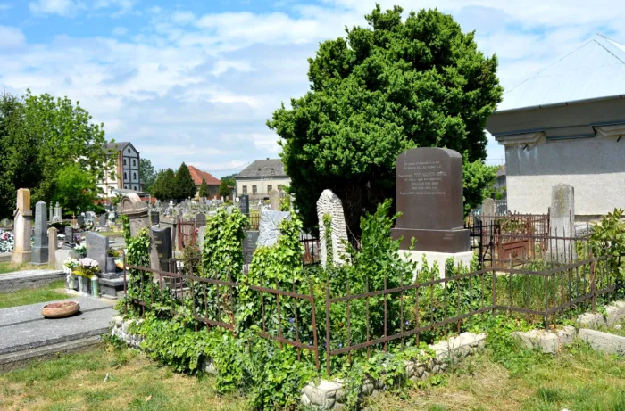 Master file0000062748