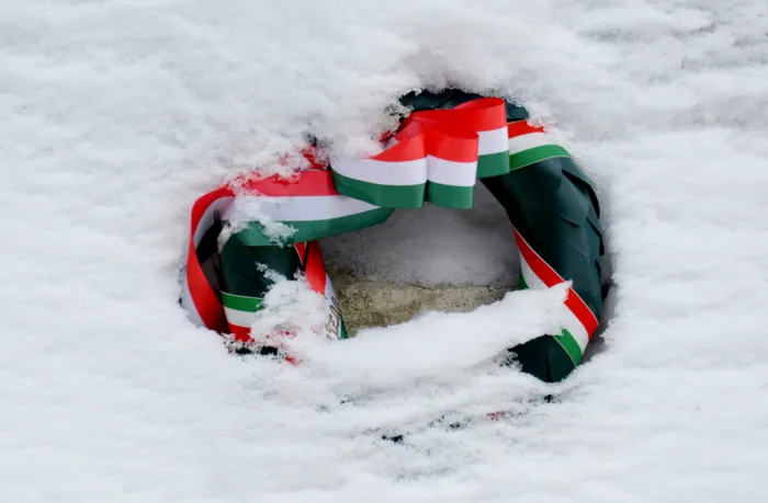 Master file0000079039