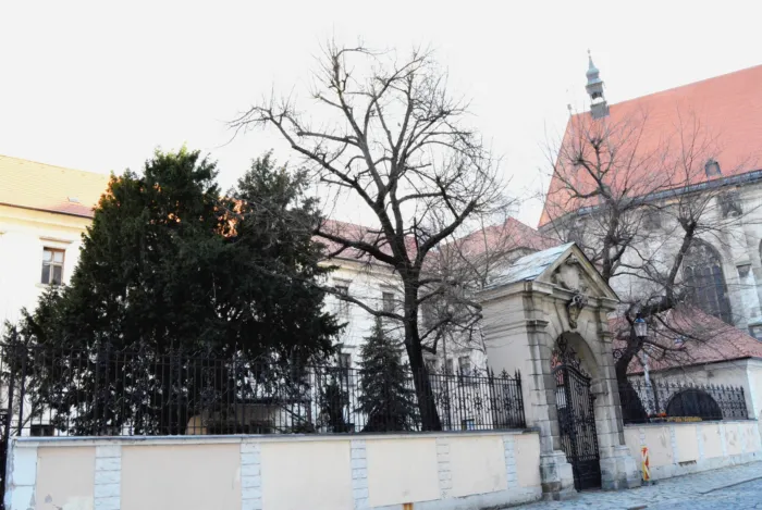 Master file0000076924