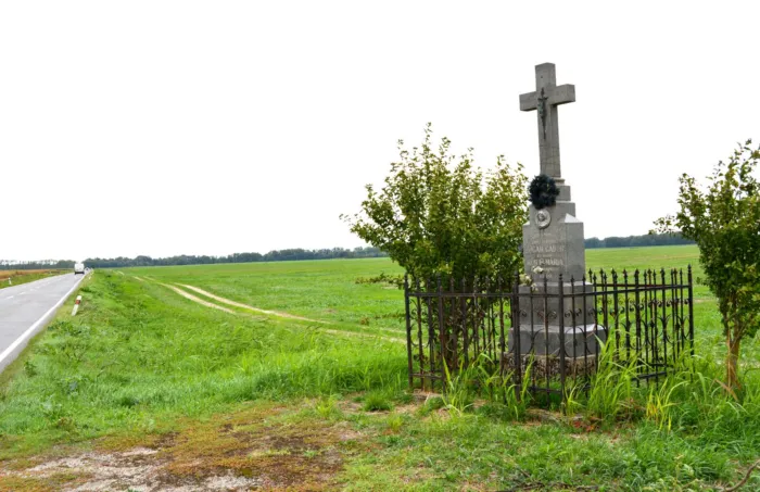 Master file0000080484