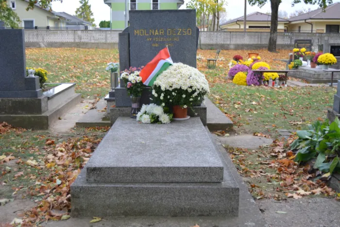 Master file0000071374