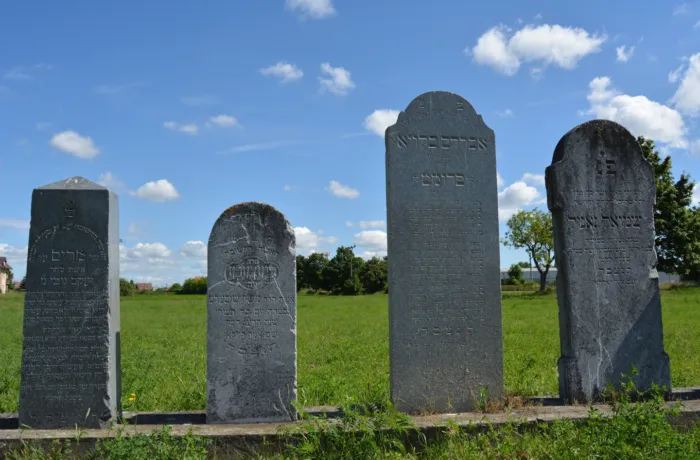 Master file0000059694