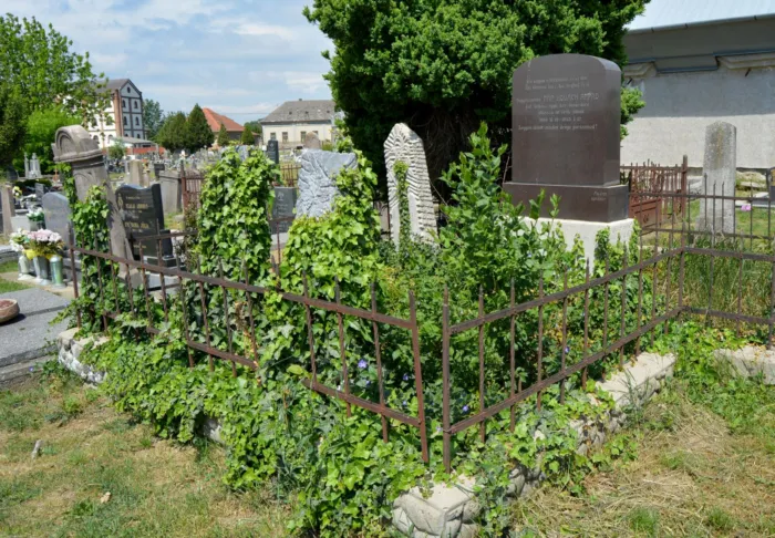 Master file0000076923