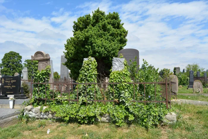 Master file0000072789