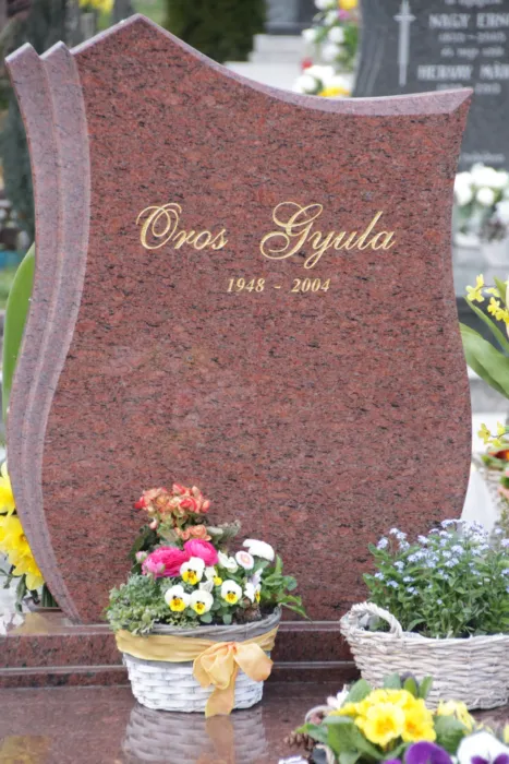 Master file0000077770