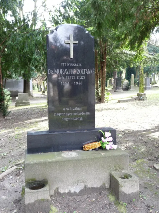 Master file0000079975