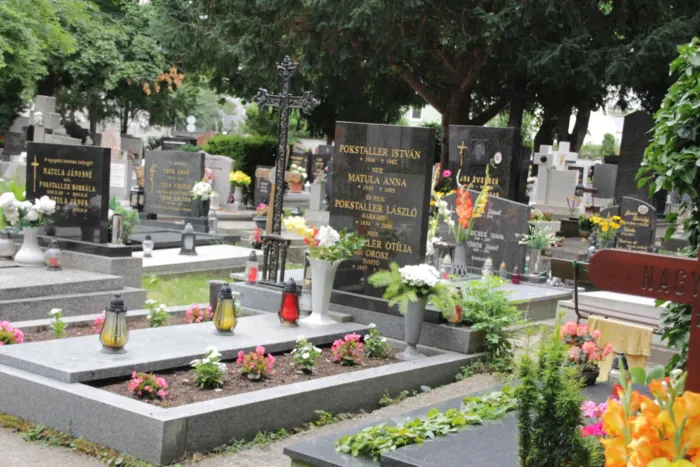 Master file0000075560