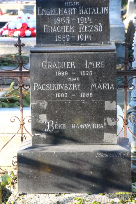 Master file0000079610