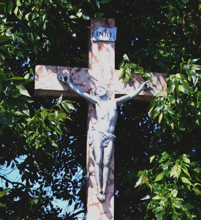 Master file0000059639