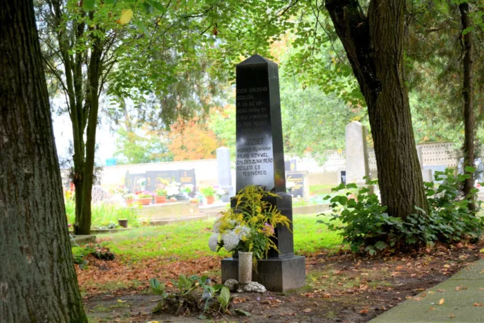 Master file0000080207