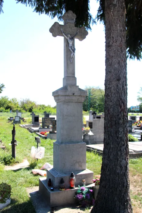 Master file0000065882