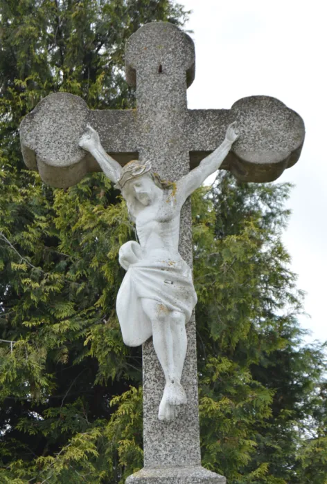 Master file0000076809