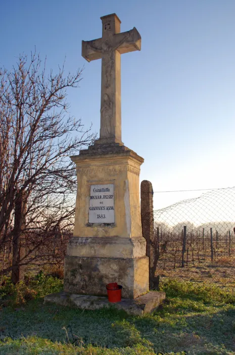 Master file0000070597