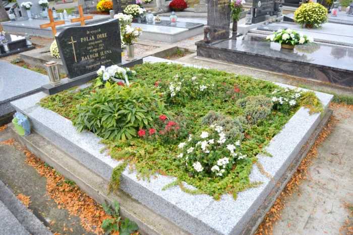 Master file0000067308