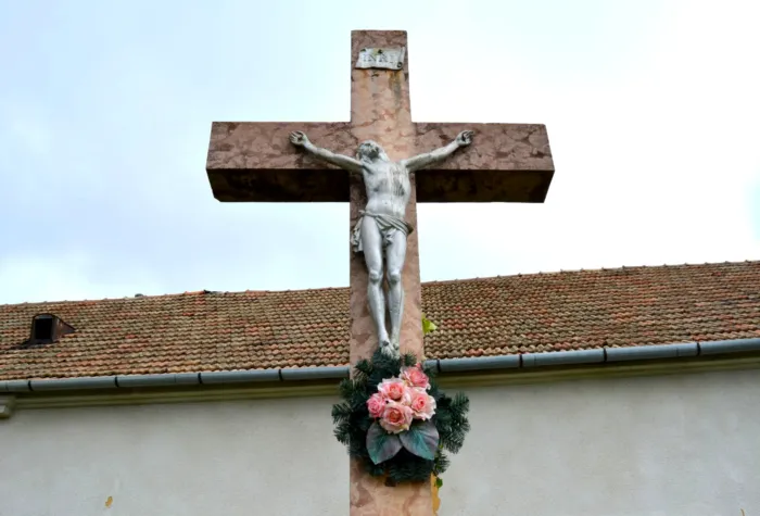 Master file0000075679