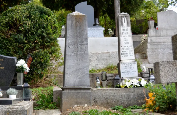 Master file0000080427