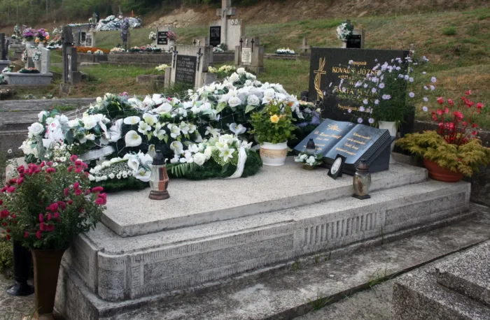 Master file0000071198