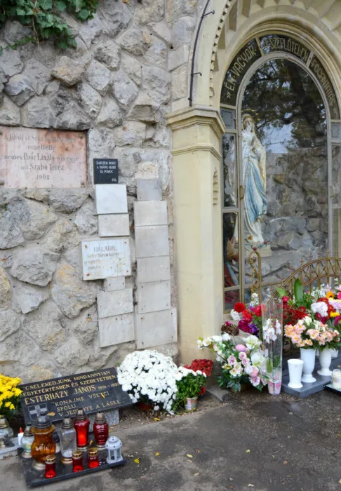 Master file0000069675