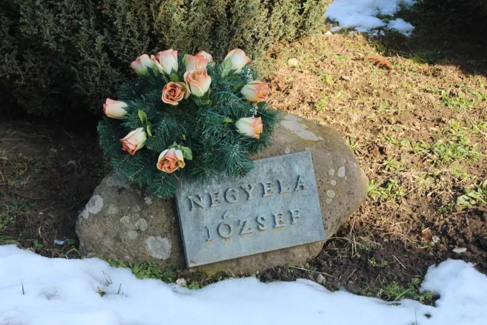 Master file0000068743